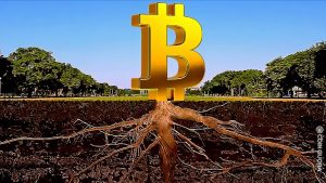 خبرهای بزرگی در مورد انجام Taproot بیتکوین