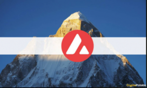 تثبیت قیمت بیت کوین