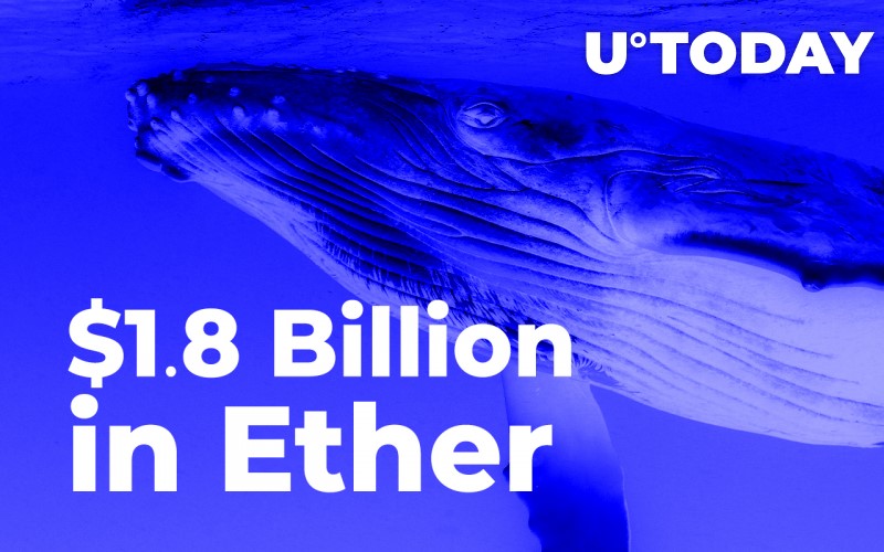 پس از ثبت ATH جدید اتریوم، نهنگ ها 1.8 میلیارد دلار جابه جا کردند.