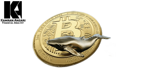 نهنگ های ارز دیجیتال